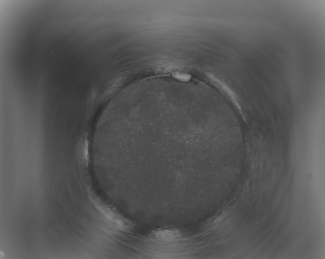 X0000072530067200607211500