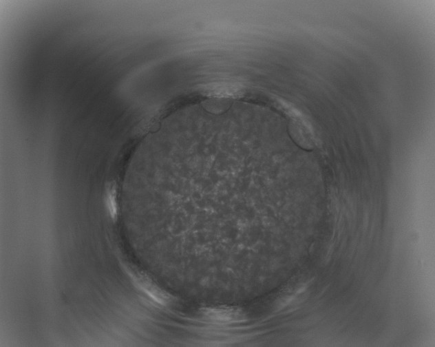 X0000072530069200607211500