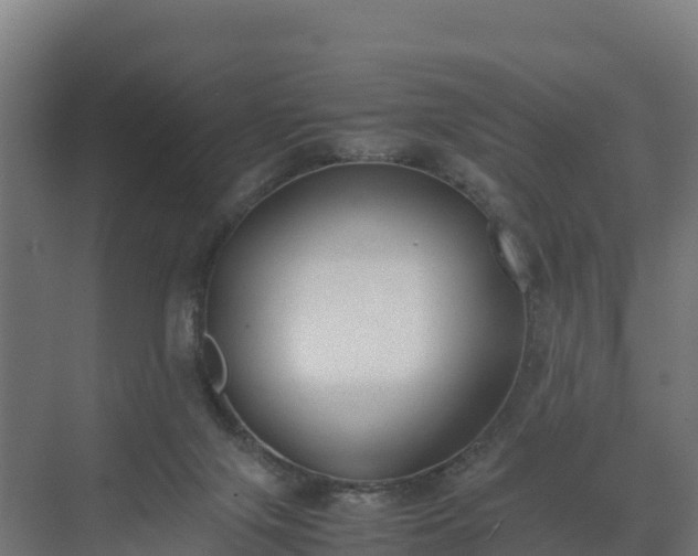 X0000072530071200607211500