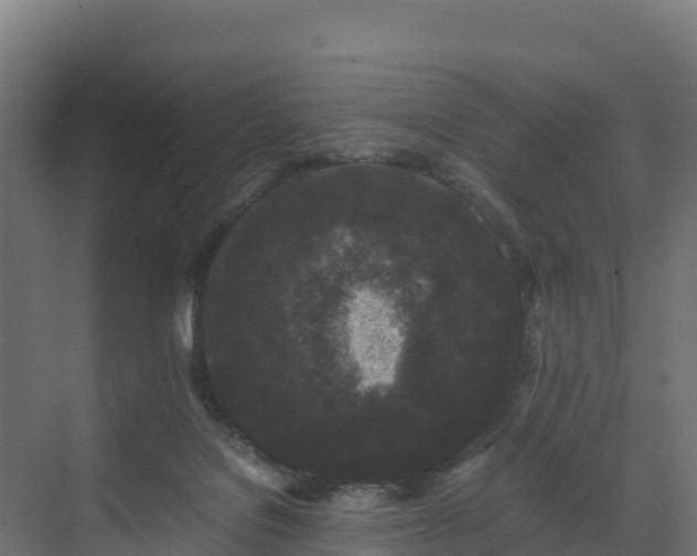 X0000072530076200607211500