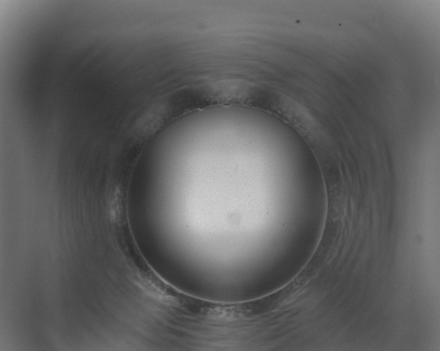 X0000072530077200607211500