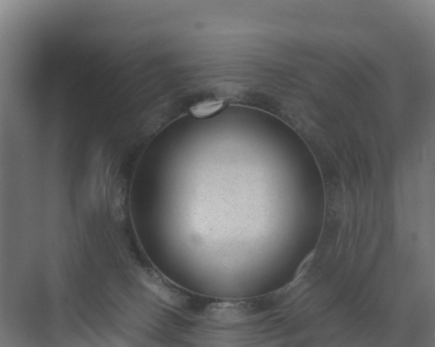 X0000072530082200607211500