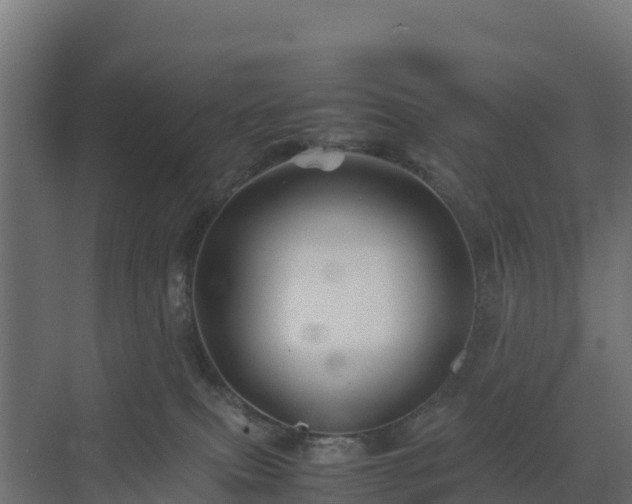 X0000072530087200607211500