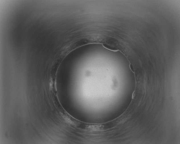 X0000072530089200607211500