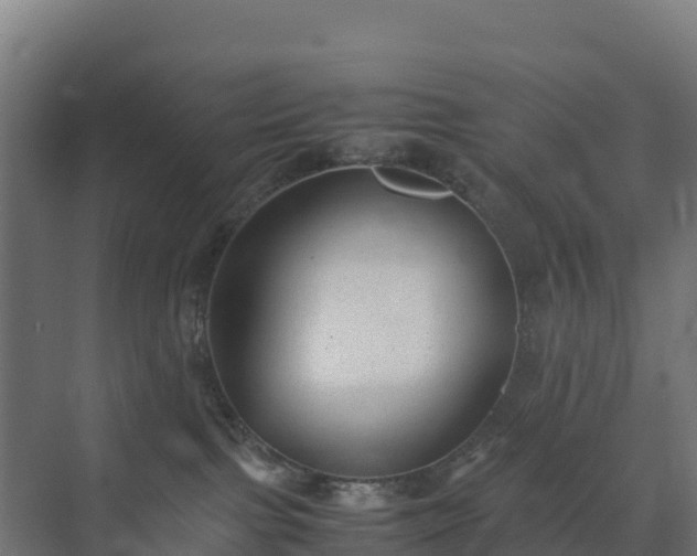 X0000072530091200607211500