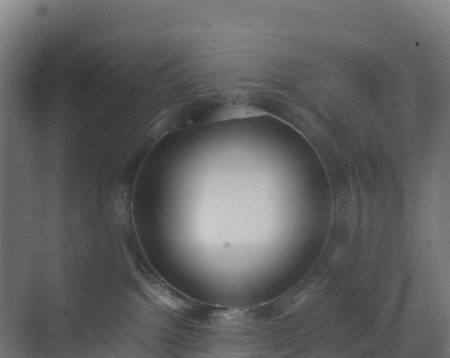 X0000072530092200607211500