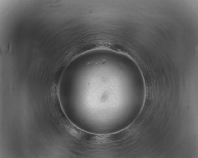 X0000072530093200607211500