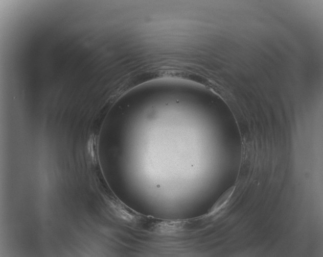 X0000072530094200607211500