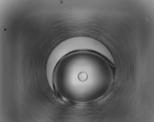 X0000072530096200607211500