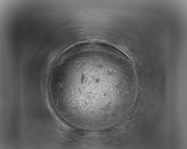 X0000072530097200607211500