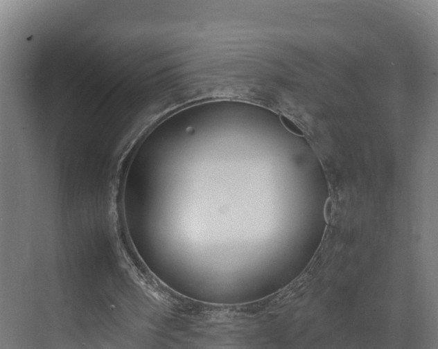 X0000072530098200607211500