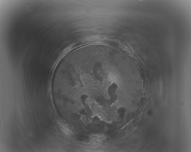 X0000072530099200607211500