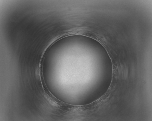 X0000072530100200607211500