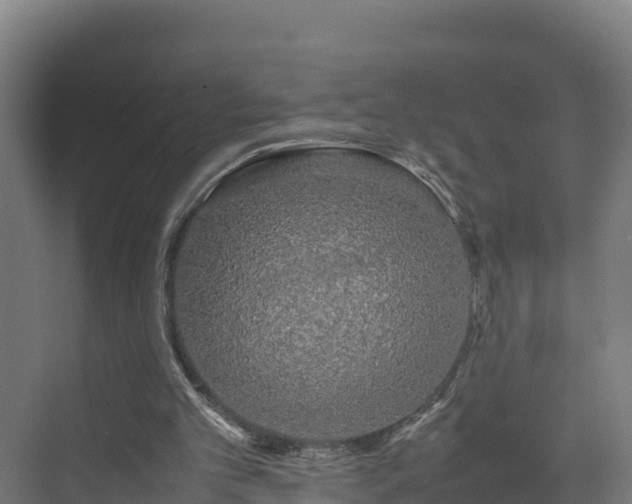 X0000072530101200607211500