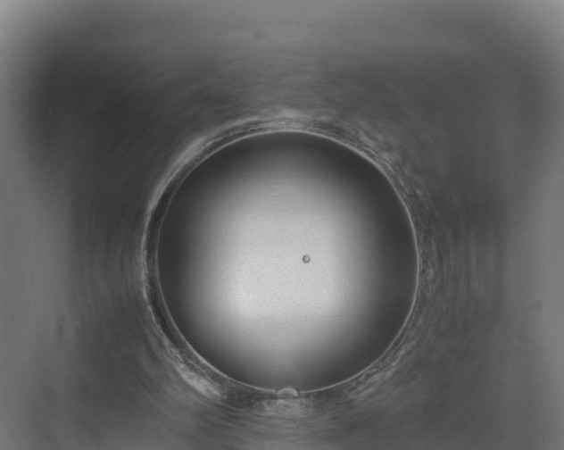 X0000072530102200607211500