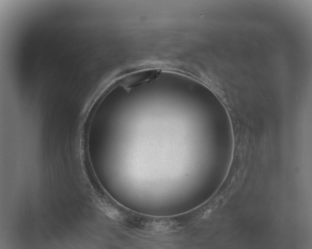 X0000072530103200607211500