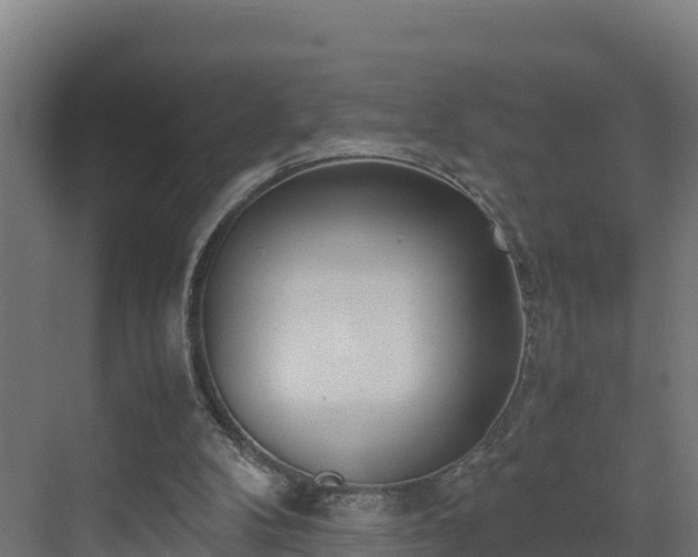 X0000072530104200607211500