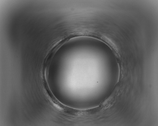 X0000072530105200607211500