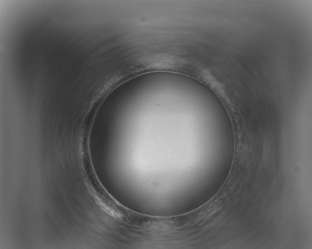 X0000072530106200607211500