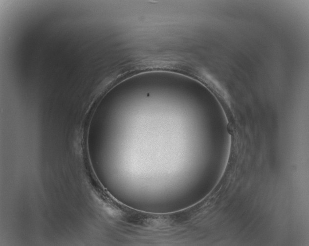 X0000072530107200607211459