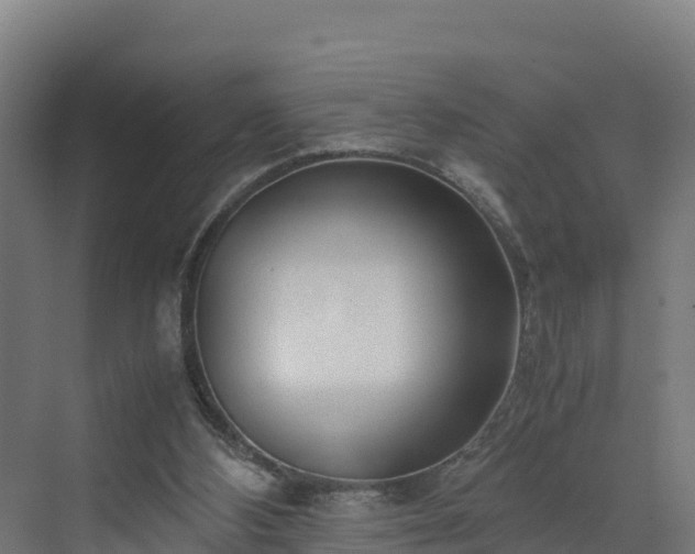 X0000072530108200607211459