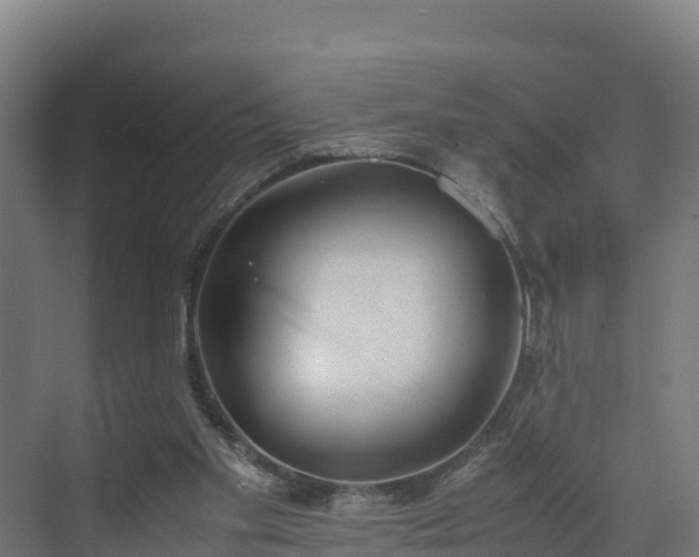 X0000072530109200607211459