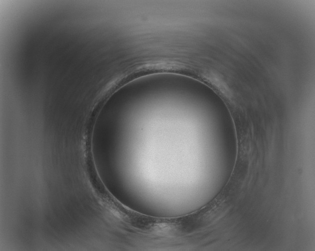 X0000072530111200607211459