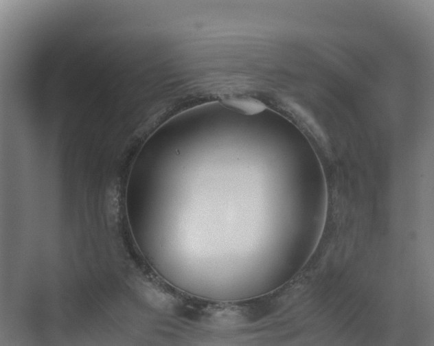 X0000072530113200607211459