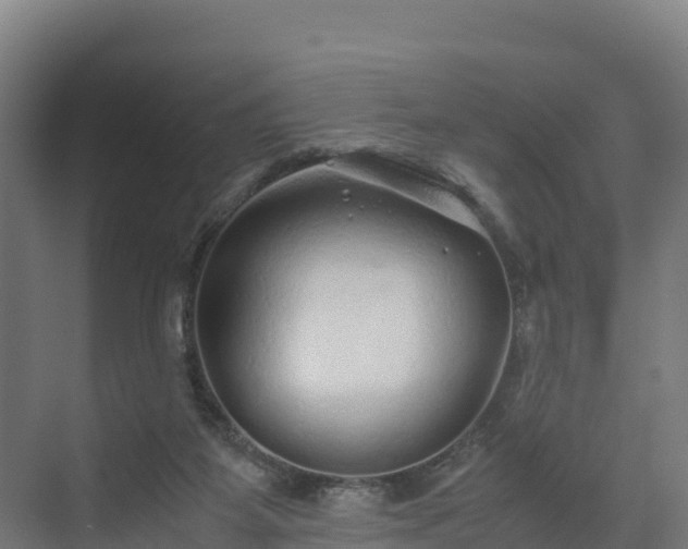 X0000072530115200607211459