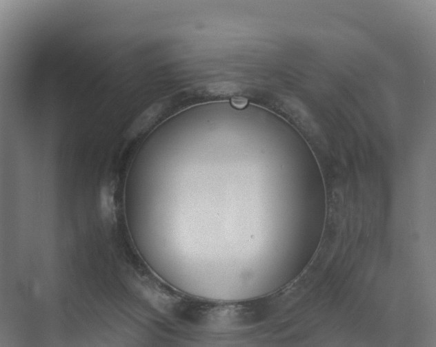 X0000072530116200607211459