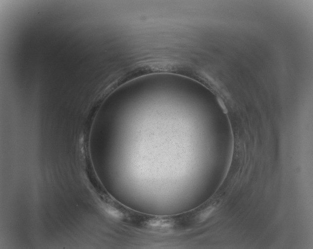 X0000072530117200607211459