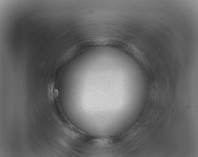 X0000072530118200607211459