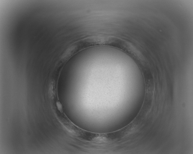 X0000072530119200607211459