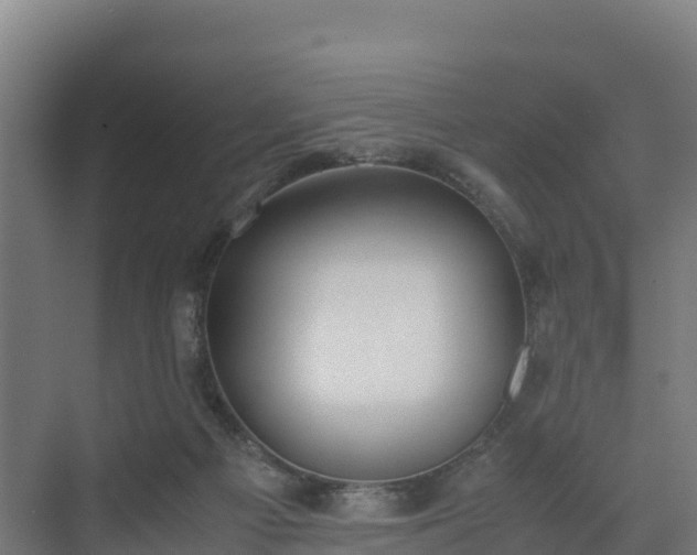 X0000072530121200607211459