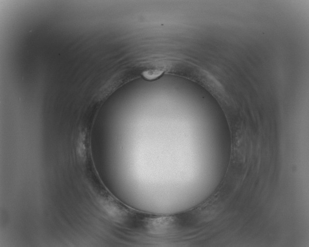 X0000072530122200607211459