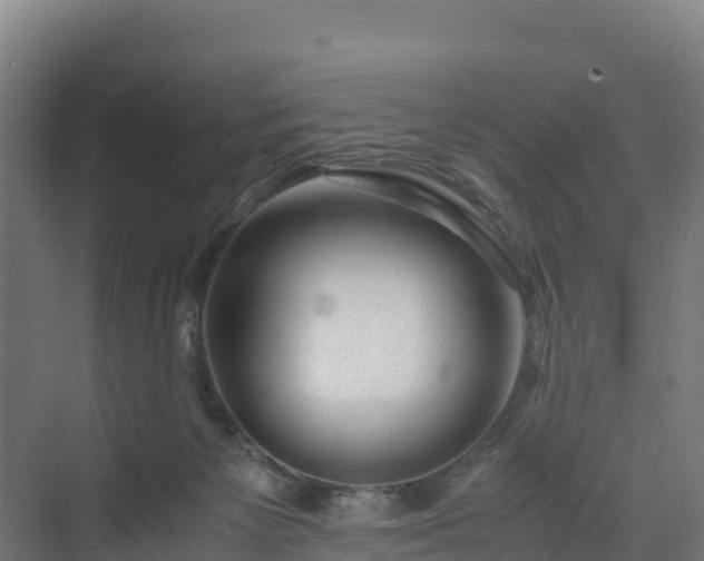 X0000072530125200607211459