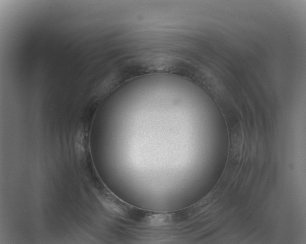 X0000072530126200607211459