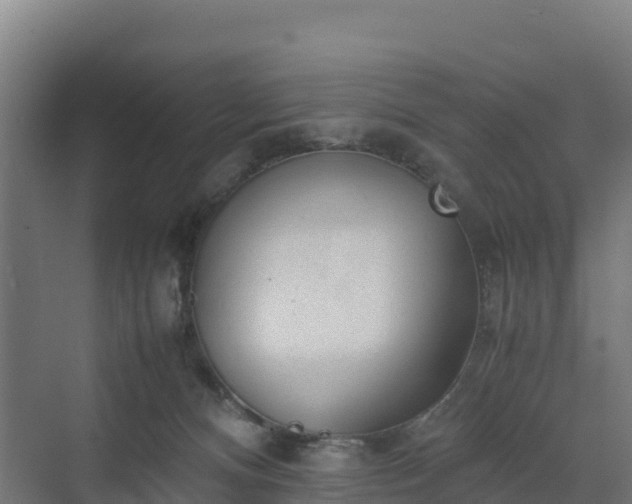 X0000072530128200607211459