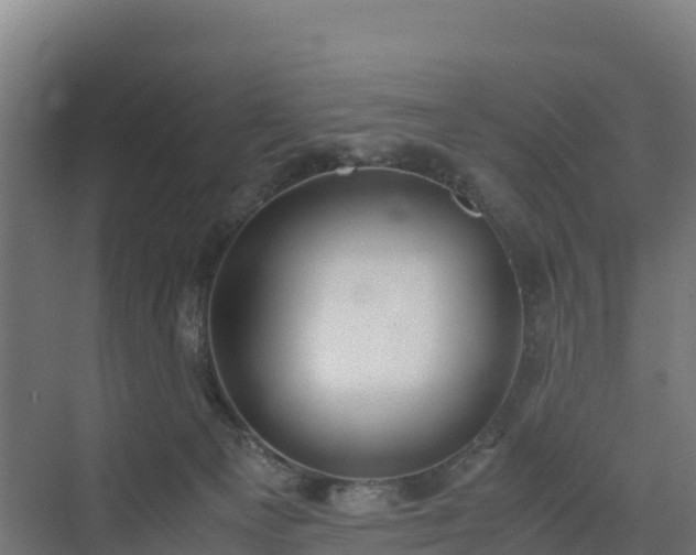 X0000072530129200607211459