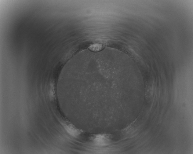 X0000072530130200607211459