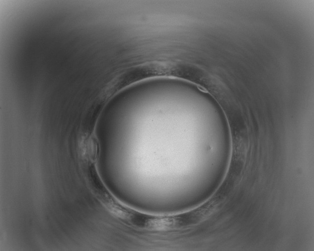 X0000072530131200607211459