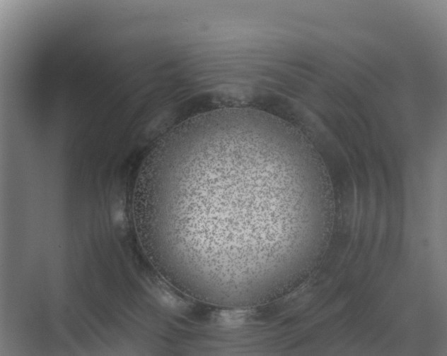 X0000072530134200607211459