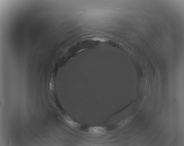 X0000072530137200607211459