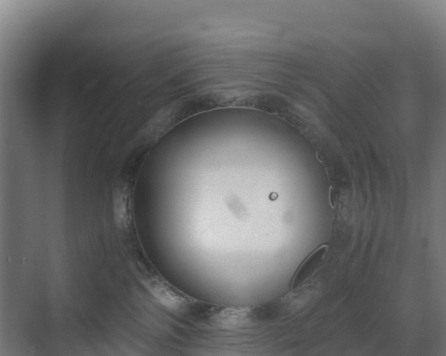 X0000072530138200607211459