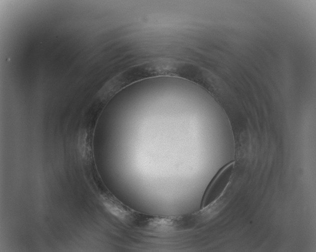 X0000072530140200607211459