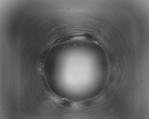 X0000072530141200607211459