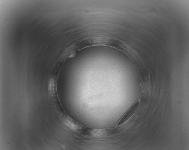 X0000072530142200607211459