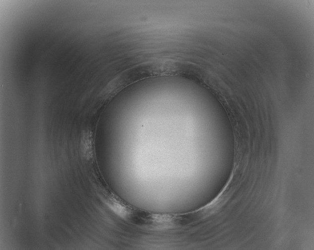 X0000072530144200607211459