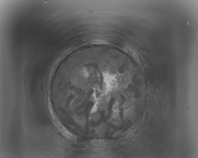 X0000072530145200607211458