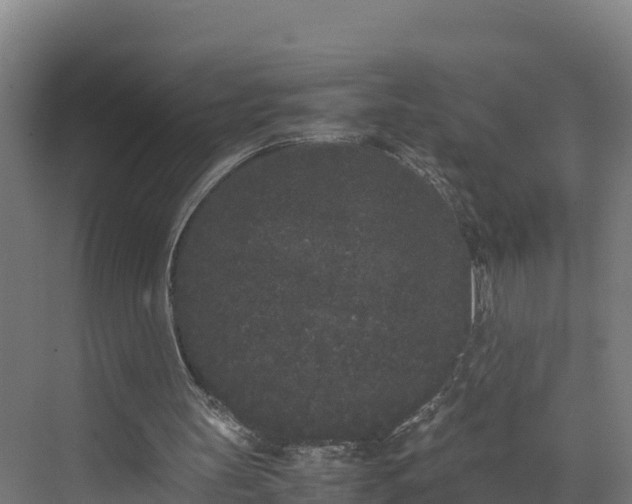 X0000072530147200607211458